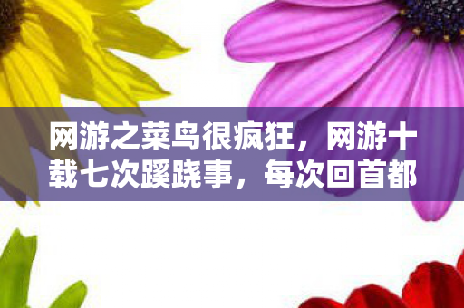 网游之菜鸟很疯狂,网游十载七次蹊跷事,每次回首都后背发凉 网游之菜鸟很疯狂,网游十载七次蹊跷事,每次回首都后背发凉