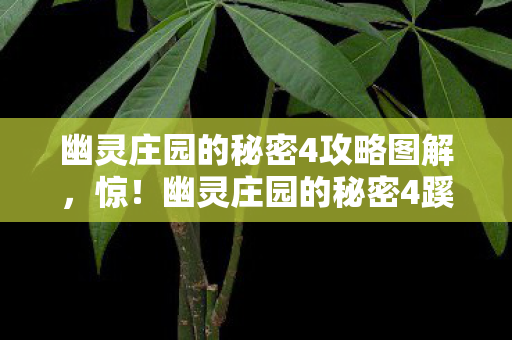 幽灵庄园的秘密4攻略图解，惊！幽灵庄园的秘密4蹊跷玩法大变，老玩家直呼活久见！