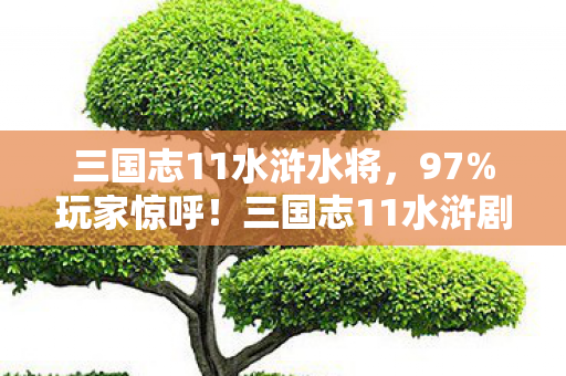 三国志11水浒水将，97%玩家惊呼！三国志11水浒剧本多平台实测，操控竟差这么多？