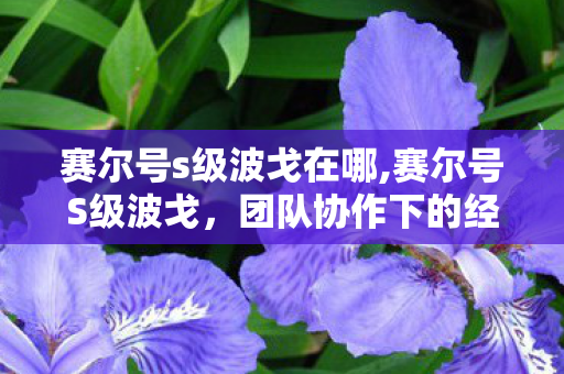 赛尔号s级波戈在哪,赛尔号S级波戈,团队协作下的经典挑战与养成乐趣 赛尔号s级波戈在哪,赛尔号S级波戈,团队协作下的经典挑战与养成乐趣