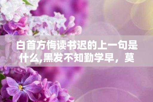 白首方悔读书迟的上一句是什么,黑发不知勤学早,莫待白首空嗟叹 白首方悔读书迟的上一句是什么,黑发不知勤学早,莫待白首空嗟叹
