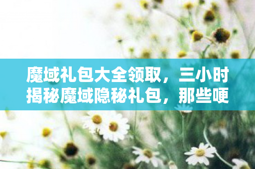 魔域礼包大全领取，三小时揭秘魔域隐秘礼包，那些哽咽的青春碎片啊