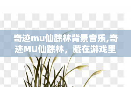 奇迹mu仙踪林背景音乐,奇迹MU仙踪林,藏在游戏里的青春秘境 奇迹mu仙踪林背景音乐,奇迹MU仙踪林,藏在游戏里的青春秘境