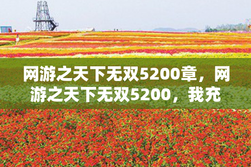 网游之天下无双5200章，网游之天下无双5200，我充了87万，老婆签离婚协议时我才吓一跳