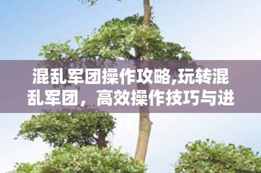 混乱军团操作攻略,玩转混乱军团，高效操作技巧与进阶思路
