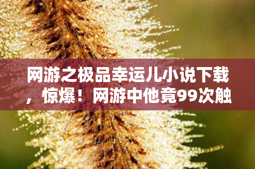 网游之极品幸运儿小说下载，惊爆！网游中他竟99次触发隐藏彩蛋，背后真相让人窒息！