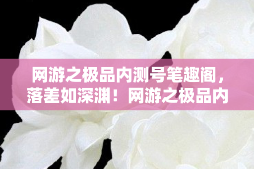 网游之极品内测号笔趣阁，落差如深渊！网游之极品内测号真相揭露，笑着笑着，我竟哭了……