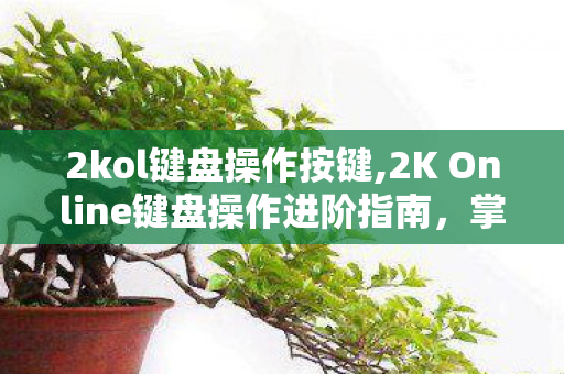 2kol键盘操作按键,2K Online键盘操作进阶指南,掌控赛场的指尖技巧 2kol键盘操作按键,2K Online键盘操作进阶指南,掌控赛场的指尖技巧