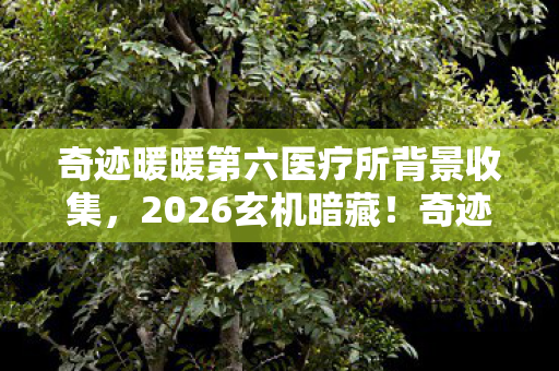 奇迹暖暖第六医疗所背景收集，2026玄机暗藏！奇迹暖暖第六医疗所，沉默背后的命运抉择