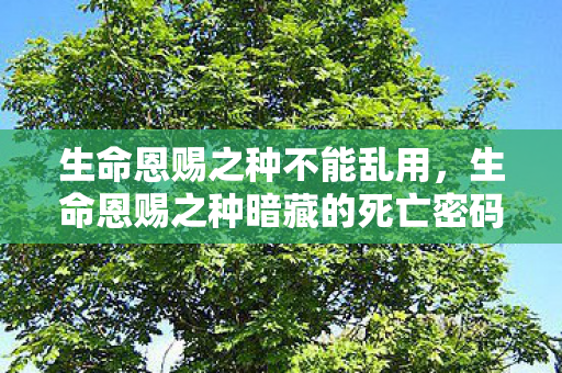 生命恩赐之种不能乱用，生命恩赐之种暗藏的死亡密码，十年悬案，真相令人毛骨悚然