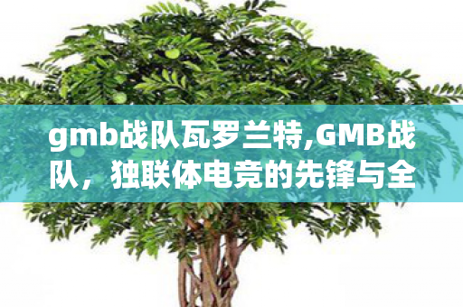 gmb战队瓦罗兰特,GMB战队,独联体电竞的先锋与全球赛场的逐梦者 gmb战队瓦罗兰特,GMB战队,独联体电竞的先锋与全球赛场的逐梦者