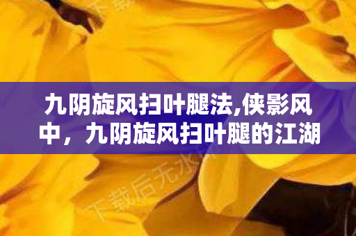 九阴旋风扫叶腿法,侠影风中,九阴旋风扫叶腿的江湖传奇 九阴旋风扫叶腿法,侠影风中,九阴旋风扫叶腿的江湖传奇