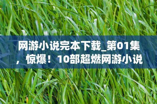 网游小说完本下载_第01集,惊爆!10部超燃网游小说完本,错过再等十年?速来! 网游小说完本下载_第01集,惊爆!10部超燃网游小说完本,错过再等十年?速来!