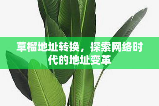 草榴地址转换,探索网络时代的地址变革 草榴地址转换,探索网络时代的地址变革