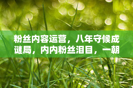 粉丝内容运营,八年守候成谜局,内内粉丝泪目,一朝关服,时光归零 粉丝内容运营,八年守候成谜局,内内粉丝泪目,一朝关服,时光归零