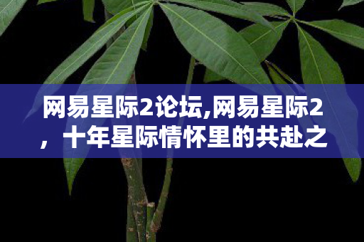 网易星际2论坛,网易星际2,十年星际情怀里的共赴之约 网易星际2论坛,网易星际2,十年星际情怀里的共赴之约