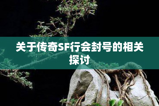 关于传奇SF行会封号的相关探讨 关于传奇SF行会封号的相关探讨