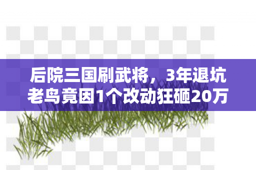 后院三国刷武将,3年退坑老鸟竟因1个改动狂砸20万?后院三国2027新版本杀疯了! 后院三国刷武将,3年退坑老鸟竟因1个改动狂砸20万?后院三国2027新版本杀疯了!