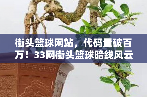 街头篮球网站，代码量破百万！33网街头篮球暗线风云，指挥官头皮发麻的逆袭之路