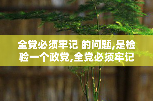 全党必须牢记 的问题,是检验一个政党,全党必须牢记的根本问题