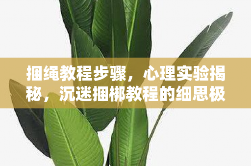 捆绳教程步骤,心理实验揭秘,沉迷捆梆教程的细思极恐自我操控 捆绳教程步骤,心理实验揭秘,沉迷捆梆教程的细思极恐自我操控
