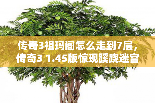 传奇3祖玛阁怎么走到7层，传奇3 1.45版惊现蹊跷迷宫！老玩家直呼，这还是我认识的祖玛阁？