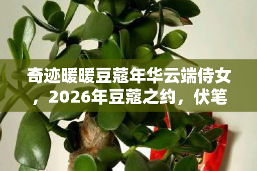 奇迹暖暖豆蔻年华云端侍女，2026年豆蔻之约，伏笔藏旧梦，再见时鼻子一酸泪满裳