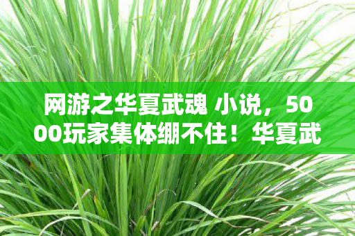 网游之华夏武魂 小说，5000玩家集体绷不住！华夏武魂惊现数据黑洞疑云，真相竟是……