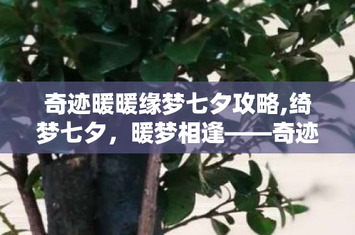 奇迹暖暖缘梦七夕攻略,绮梦七夕,暖梦相逢——奇迹暖暖缘梦七夕的浪漫印记 奇迹暖暖缘梦七夕攻略,绮梦七夕,暖梦相逢——奇迹暖暖缘梦七夕的浪漫印记