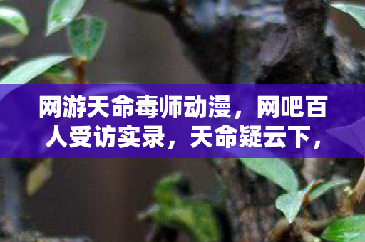 网游天命毒师动漫,网吧百人受访实录,天命疑云下,谁先绷不住笑出猪叫? 网游天命毒师动漫,网吧百人受访实录,天命疑云下,谁先绷不住笑出猪叫?