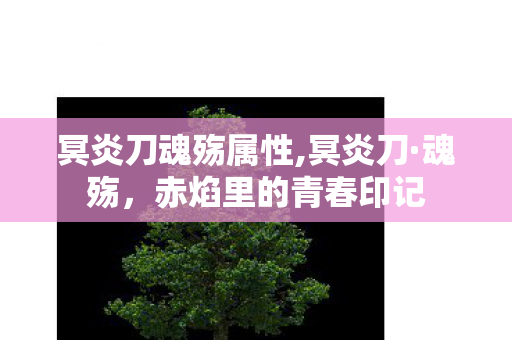 冥炎刀魂殇属性,冥炎刀·魂殇,赤焰里的青春印记 冥炎刀魂殇属性,冥炎刀·魂殇,赤焰里的青春印记