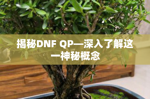揭秘DNF QP—深入了解这一神秘概念 揭秘DNF QP—深入了解这一神秘概念