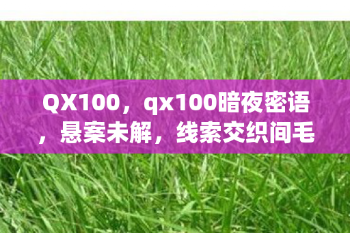 QX100，qx100暗夜密语，悬案未解，线索交织间毛骨悚然真相待揭