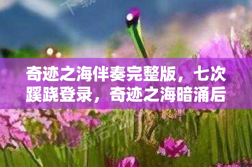 奇迹之海伴奏完整版,七次蹊跷登录,奇迹之海暗涌后背发凉的逃亡真相 奇迹之海伴奏完整版,七次蹊跷登录,奇迹之海暗涌后背发凉的逃亡真相