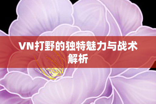 VN打野的独特魅力与战术解析 VN打野的独特魅力与战术解析