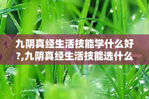 九阴真经生活技能学什么好?,九阴真经生活技能选什么好?不同玩法适配指南 九阴真经生活技能学什么好?,九阴真经生活技能选什么好?不同玩法适配指南