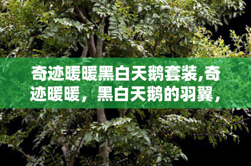 奇迹暖暖黑白天鹅套装,奇迹暖暖,黑白天鹅的羽翼,是跨越光影的时尚传奇 奇迹暖暖黑白天鹅套装,奇迹暖暖,黑白天鹅的羽翼,是跨越光影的时尚传奇