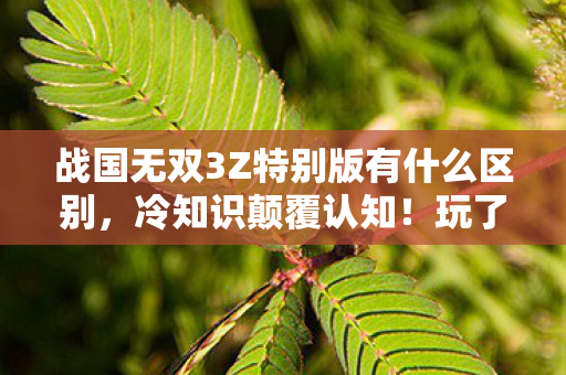 战国无双3Z特别版有什么区别,冷知识颠覆认知!玩了十年战国无双3z特别版的我目瞪口呆 战国无双3Z特别版有什么区别,冷知识颠覆认知!玩了十年战国无双3z特别版的我目瞪口呆