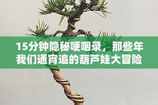 15分钟隐秘哽咽录,那些年我们通宵追的葫芦娃大冒险 15分钟隐秘哽咽录,那些年我们通宵追的葫芦娃大冒险