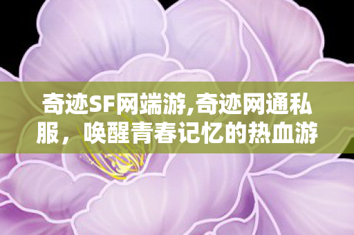 奇迹SF网端游,奇迹网通私服，唤醒青春记忆的热血游戏天地