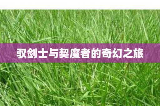 驭剑士与契魔者的奇幻之旅 驭剑士与契魔者的奇幻之旅