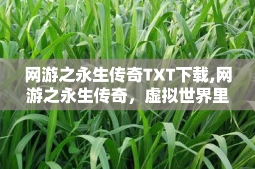 网游之永生传奇TXT下载,网游之永生传奇,虚拟世界里的不朽征途 网游之永生传奇TXT下载,网游之永生传奇,虚拟世界里的不朽征途