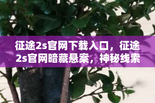 征途2s官网下载入口，征途2s官网暗藏悬案，神秘线索交织，毛骨悚然真相等你揭晓！