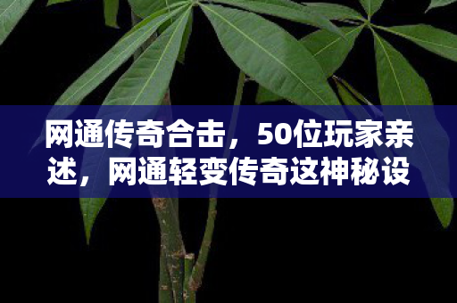 网通传奇合击,50位玩家亲述,网通轻变传奇这神秘设定咋回事?大神都绷不住笑了! 网通传奇合击,50位玩家亲述,网通轻变传奇这神秘设定咋回事?大神都绷不住笑了!