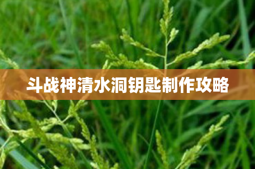斗战神清水洞钥匙制作攻略 斗战神清水洞钥匙制作攻略