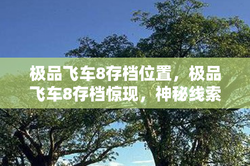 极品飞车8存档位置，极品飞车8存档惊现，神秘线索牵出悬案，毛骨悚然真相待揭！