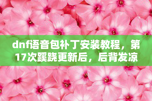 dnf语音包补丁安装教程,第17次蹊跷更新后,后背发凉的真相让我再不敢碰DNF日语补丁 dnf语音包补丁安装教程,第17次蹊跷更新后,后背发凉的真相让我再不敢碰DNF日语补丁