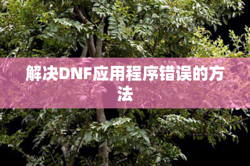 解决DNF应用程序错误的方法 解决DNF应用程序错误的方法