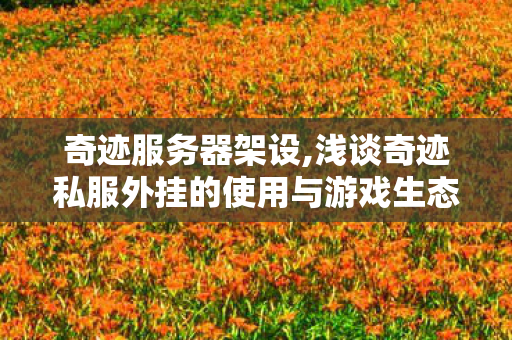 奇迹服务器架设,浅谈奇迹私服外挂的使用与游戏生态影响 奇迹服务器架设,浅谈奇迹私服外挂的使用与游戏生态影响