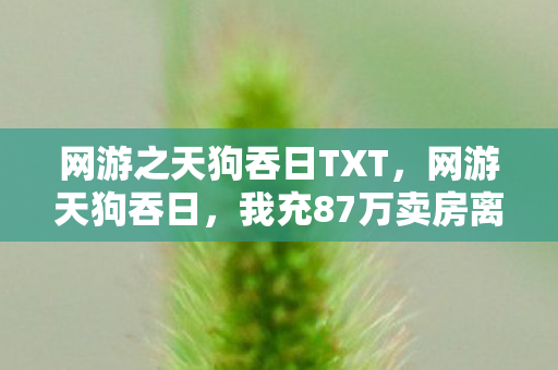网游之天狗吞日TXT，网游天狗吞日，我充87万卖房离婚，账本揭开血泪隐情吓一跳！